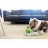 Ball mit Squeaker für Hunde Zolia