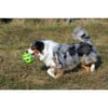 Ball mit Squeaker für Hunde Zolia