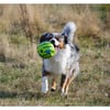 Hondenbal met geluid ZOLIA Woopy Ball