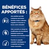 HILL'S Prescription Diet K/D + Mobility Kidney Care per gatti adulti