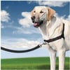 Arnês Petsafe EASY WALK 3 em 1 para cães - 4 dimensões à escolha