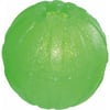 Leckerbissen Ball- Everlasting Treat Chew Ball