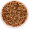 IAKO Gusanos de la harina naturales para pájaros y roedores - 400g ó 5kg