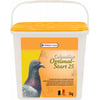 Optimal Start 25- Colombina per piccione ornamentale