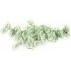 Grün / weiße Pflanze für Terrarien