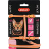 Kit imbragatura guinzaglio + briglia per gatti - Diversi colori