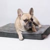 Cama ortopédica com memória de forma para cão Zolia Nixon