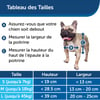 Portinhola isolada para condições climáticas extremas PetSafe