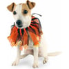 Coleira para cão Halloween Zolia Festive
