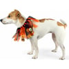 Zolia Festive Halloween Halsband für Hunde