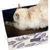 Rascador de cartón para gatos DIY Zolia TropiCat