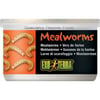 Minhocas de farinha para todos os tipos de répteis Exo Terra Mealworms