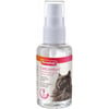 CatComfort, spray de feromonas calmante para gatos e gatinhos