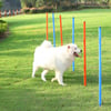 Conjunto completo Agilidade Canina Zolia Bolt-Sport
