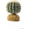 Cactus oursin Exo Terra