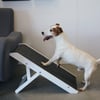 Rampa para cães em madeira Elliot Zolia Orthopedic - ideal para o interior de casa