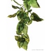 Amapallo Exo-Terra plant voor terrarium