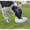 Abbeveratoio esterno automatico per cane, gatto o piccolo bestiame