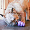 Brinquedo para cão Senior Rubber Toys