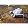 Oase Springbrunnen Gargoyle Schildkröte