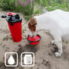 Zolia Sportydog 2 em 1 garrafa para cão: água e croquetes