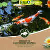 Tetra Pond Color Sticks Alleinfuttermittel für bunte Teichfische