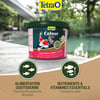 Tetra Pond Color Sticks Alleinfuttermittel für bunte Teichfische