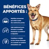 HILL'S Prescription Diet I/D AB+ Digestive Care Mijoté für Hunde
