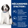 HILL'S verschreibungspflichtige Diät C / D Multicare Mijoté für Hunde