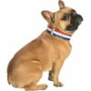 Lederhalsband für Hunde Henri hergestellt in Frankreich