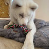 Zolia FUN Spieltau Hundespielzeug ideal für die Zahnpflege