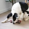 Brinquedo dental em corda para cães Zolia FUN ideal para a higiene dentária