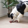Brinquedo dental em corda para cães Zolia FUN ideal para a higiene dentária