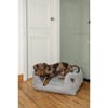 Cesta ortopedica per cani Fantail Sofa Snooze Silver Spoon - Diverse taglie disponibili