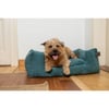 Cesto para cão com memória de forma Fantail Sofa Snooze Botanical Green - 60 à 110 cm