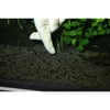 JBL Bolas fertilizantes (7+13) para raízes de plantas de aquário