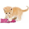 KONG Kickeroo juguete para gatitos con catnip