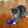 KONG Brinquedo para gato Cat Treat distribuidor Bola