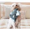 Peluche para cão Comfort Kiddos Elefante - Dois tamanhos disponíveis
