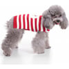Camisola para cão alusiva ao natal Zolia Festive
