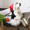 Galletas de Navidad para perros DAILYS