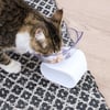 Orthopädischer erhöhter Napf für Katzen Zolia Hello