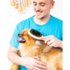Zenatural Zolia spazzola doppia per cani e gatti con manico in legno