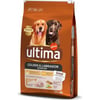 Affinity ULTIMA Medium-Maxi Golden & Labrador Pollo para perro