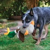 KONG Shakers Honkers Hundespielzeug -2 Größen erhältlich