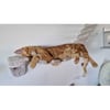 Zolia Hooky, albero modulare da parete per gatti