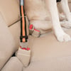 Fibbia della cintura di sicurezza Direct Seatbelt Kurgo