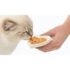 Guloseima cremosa para gato Catit Creamy