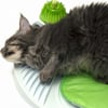 Pulverizador de erva a gato Catit 2.0