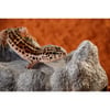 Keramik Dekorations-Höhle Wet Rock Exo Terra - 3 Größen erhältlich